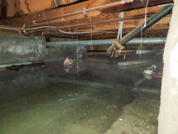 Best Water damage restoration cost  in Bozeman, MT