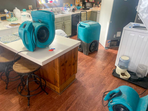 Best Professional water damage repair  in Bozeman, MT