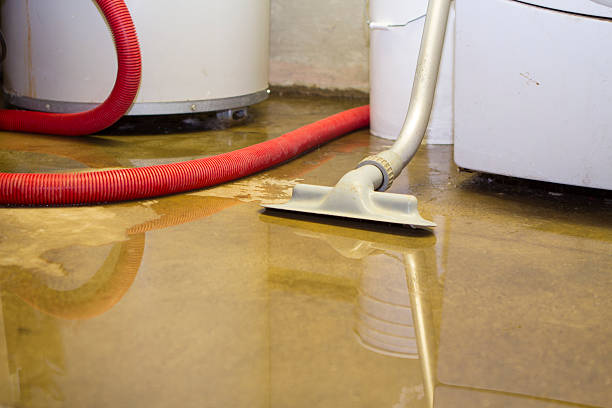 Trusted MT Water damage restoration Experts