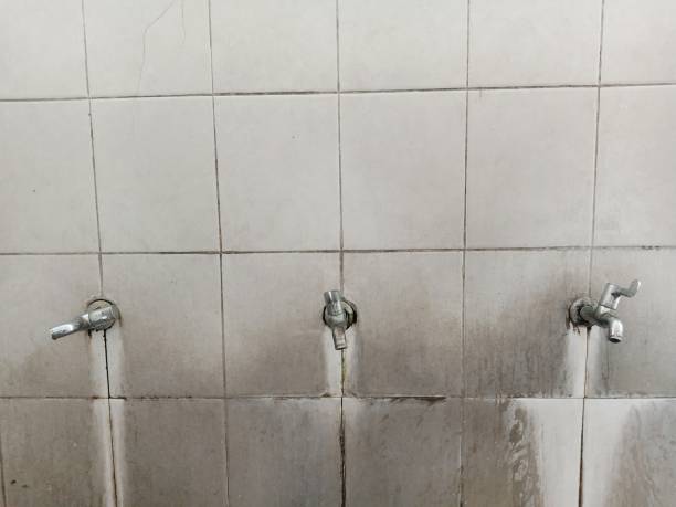 Best 24/7 water damage repair  in Bozeman, MT