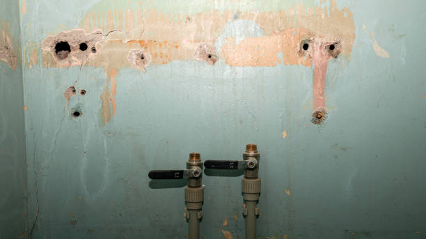 Best Mold removal after water damage  in Bozeman, MT