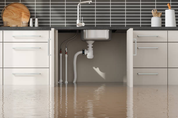 Best Water damage restoration services  in Bozeman, MT
